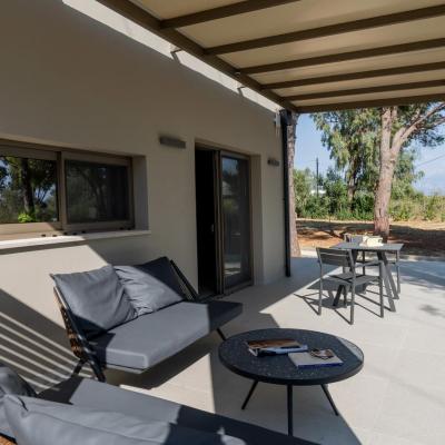 Kymata Suite