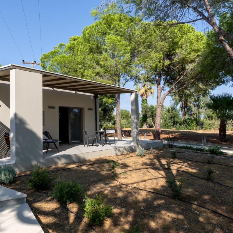 Kymata Suite
